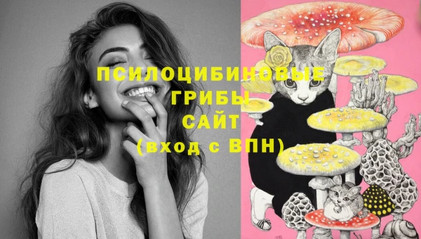 бошки Волоколамск