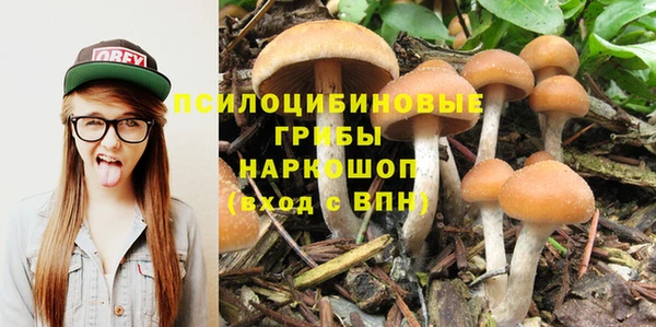 бошки Волоколамск